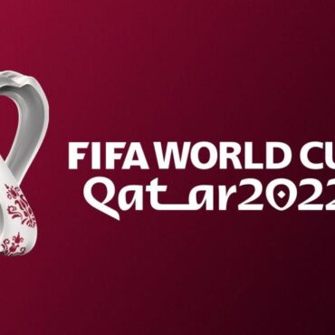 qatar 2022 grupo D