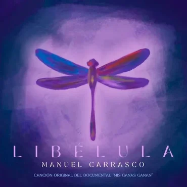 Libelula portada