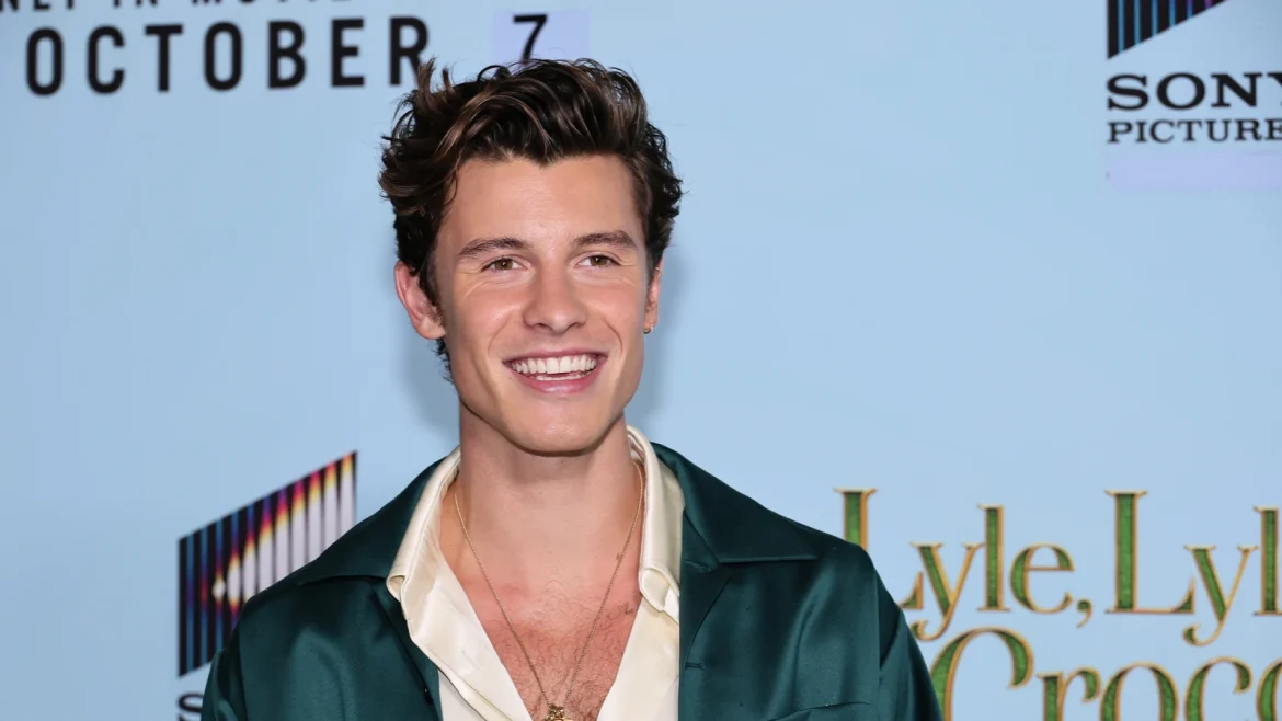 Shawn mendes