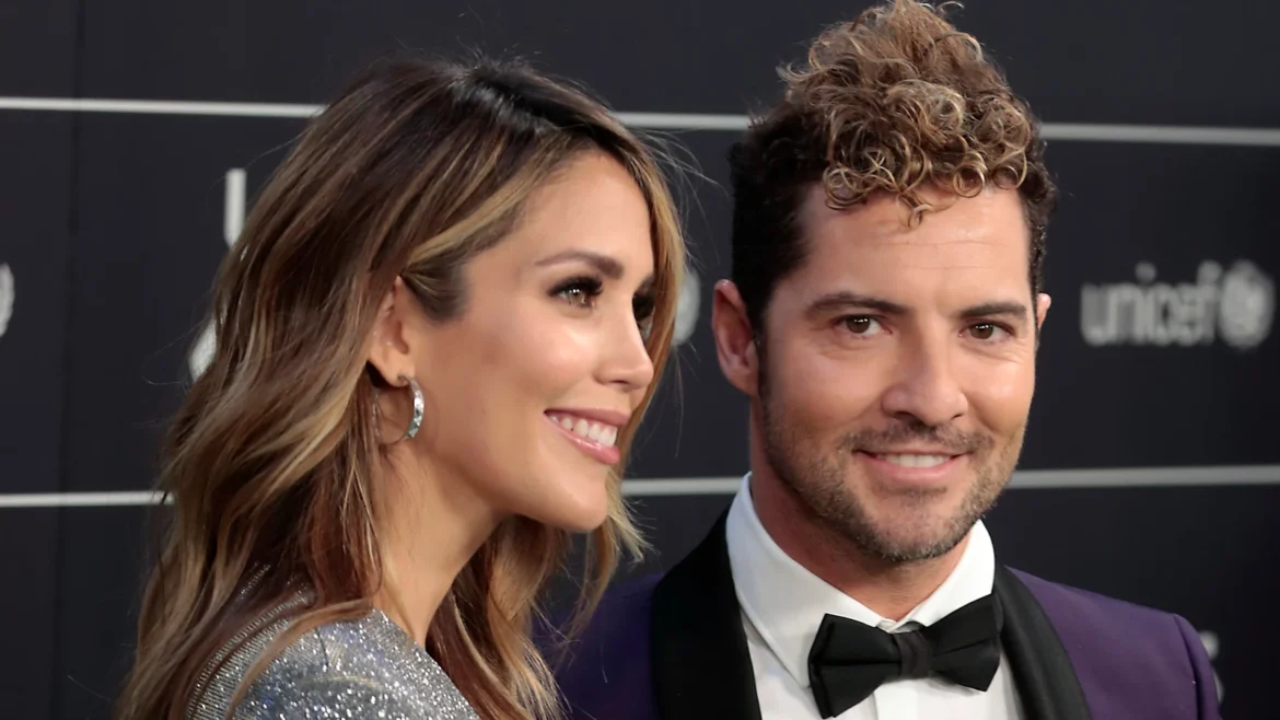 David bisbal