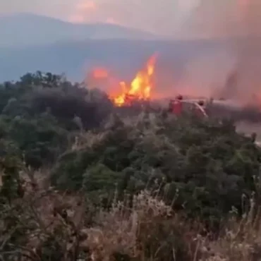 Bulgaria