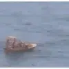 Rescatan a un hombre y una niña que cayeron al mar desde un crucero de disney rumbo a fort lauderdale.