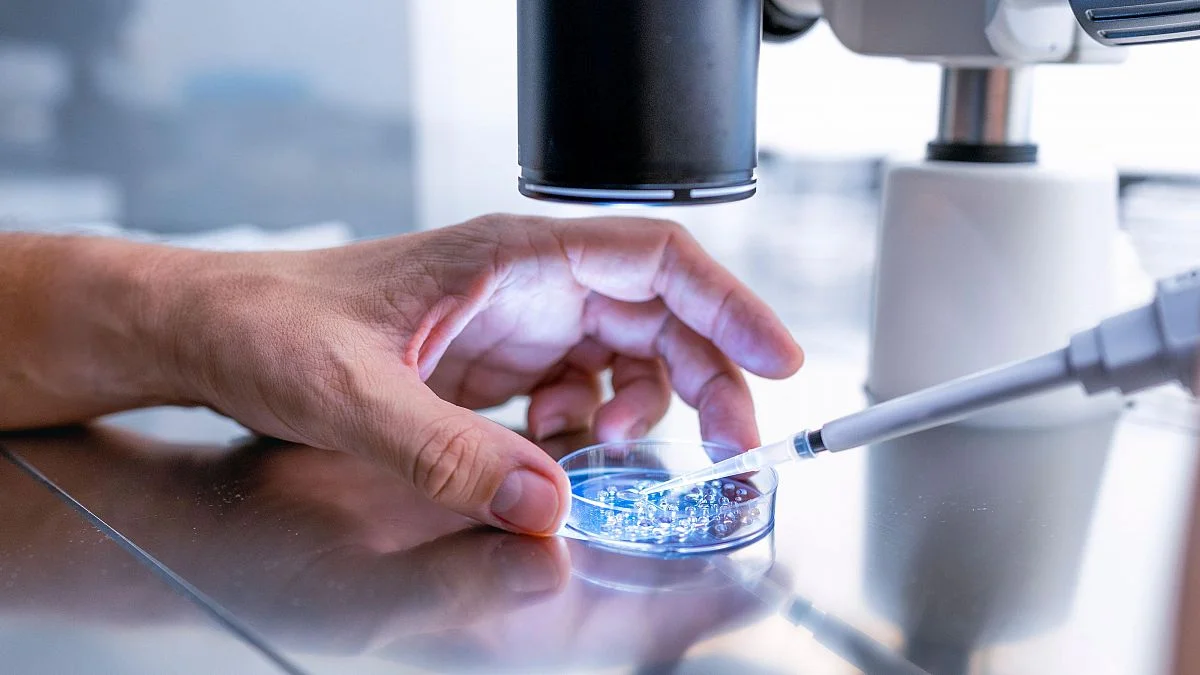 Científicos desarrollan óvulos humanos a partir de células de la piel: un avance prometedor en fertilidad. 1 Humanos