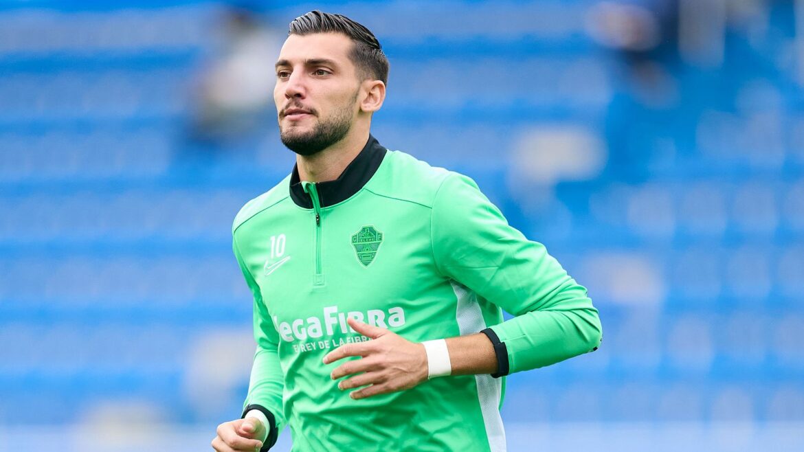 Rafa mir,