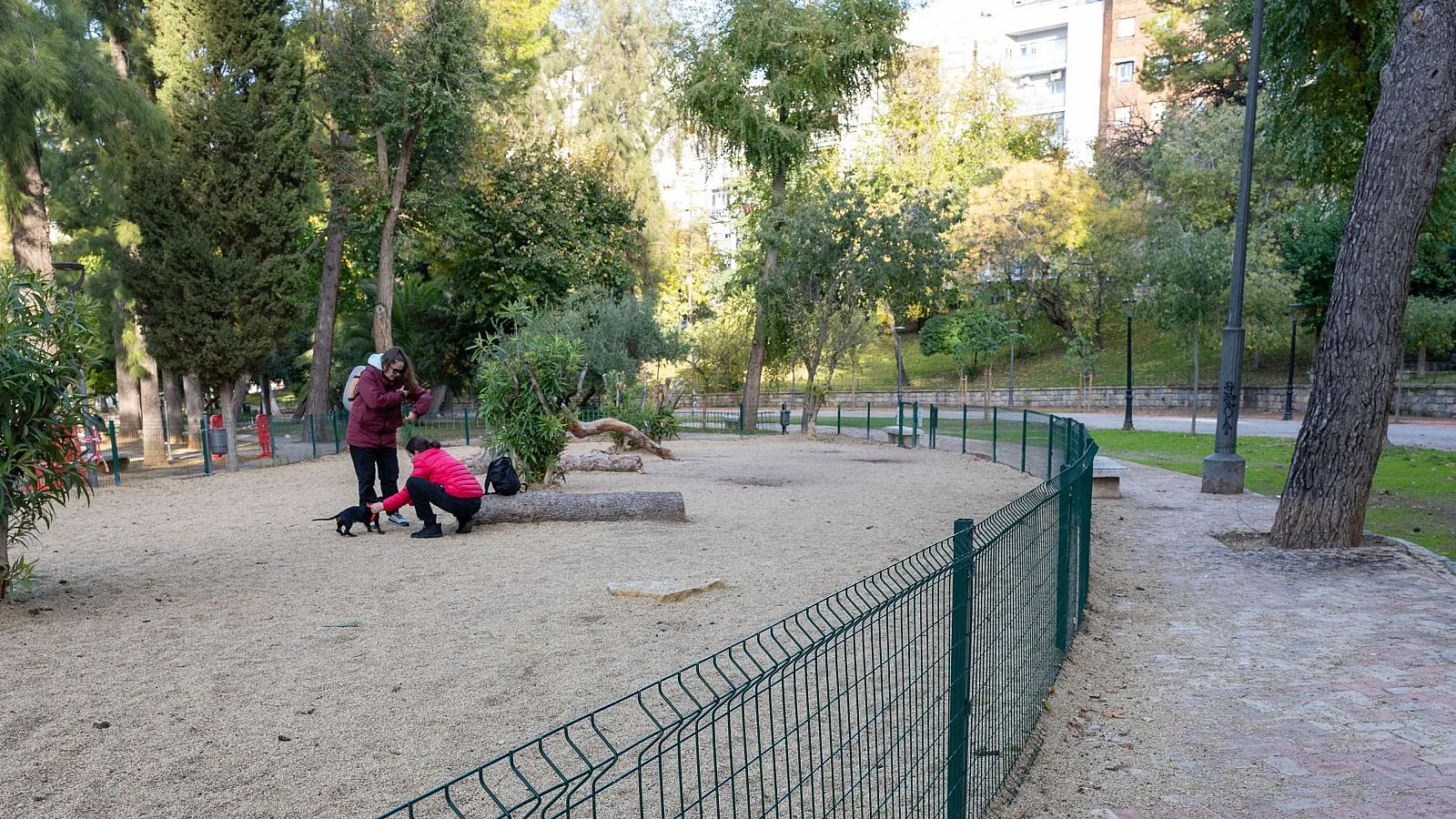 La policía mantiene el suicidio como principal hipótesis en la muerte de las dos adolescentes en jaén, aunque una familia lo descarta 1 Suicidio