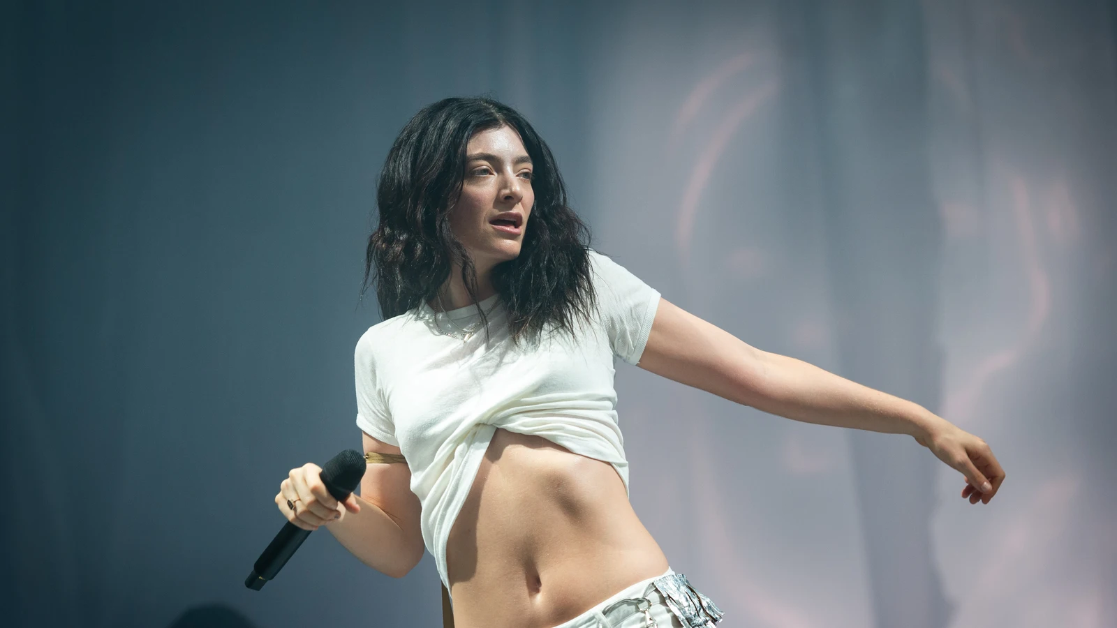 Lorde y björk, entre los artistas que se unen al boicot musical a israel 1 Lorde