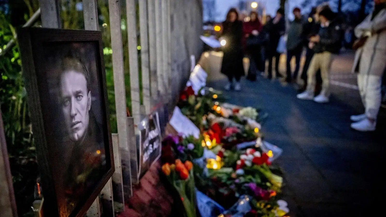 Navalni falleció envenenado con una toxina mortal presente en ranas tóxicas, según varios países europeos. 1 Navalni