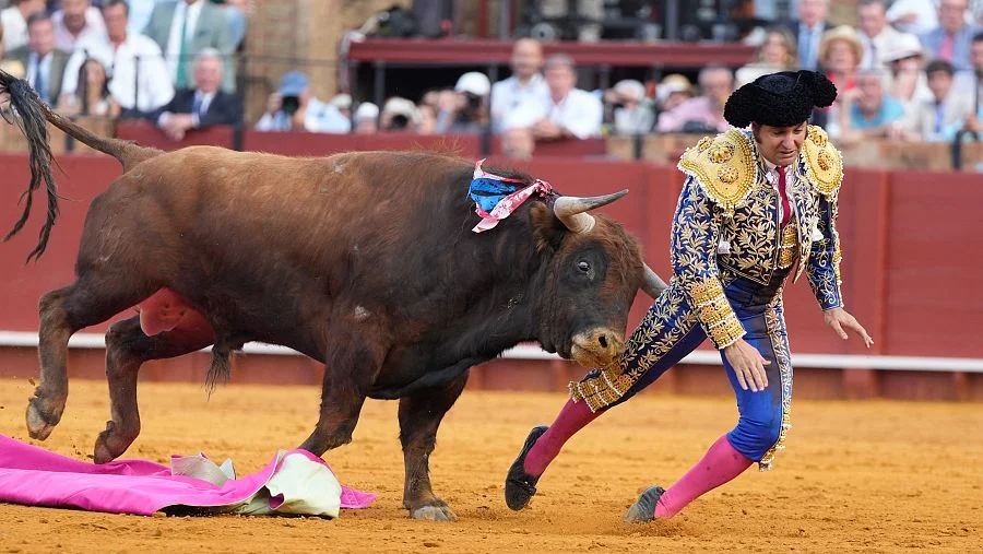 Morante de la puebla, en estado “muy grave” tras una cornada en la maestranza. 1 Morante de la puebla