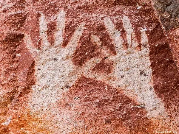 Adn humano de miles de años desafía el tiempo en las paredes de cuevas prehistóricas 3 La cueva de las manos 3