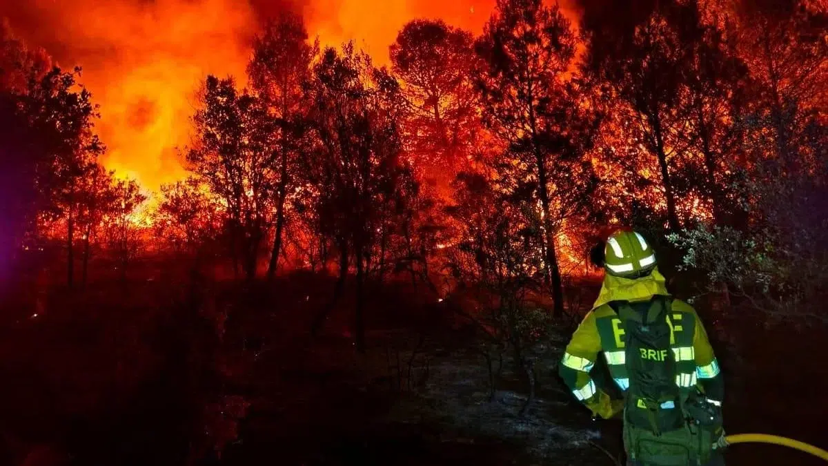 El infierno de las cinco villas: 14. 000 hectáreas devoradas 2 C7c1f230 ce08 47c3 b994 78bccbb75b52 16 9 discover aspect