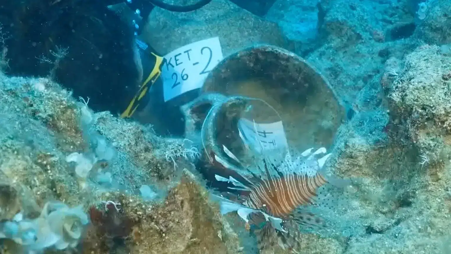 Descubren el naufragio más antiguo del mundo, un hallazgo histórico frente a las costas de turquía 2 Descubren el naufragio más antiguo