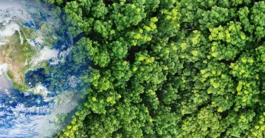 La cop17 se celebra en un momento crítico: exigen respuestas rápida para proteger la biodiversidad. 2 Cop17 se celebra en un momento