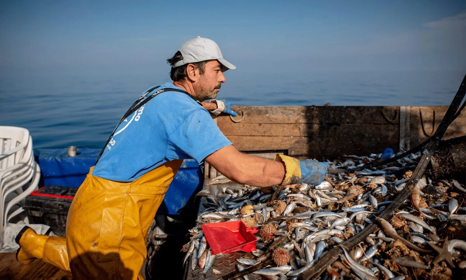 Innovadora: de la basura marina al tejido: así es la moda sostenible en españa. 2 La basura marina al tejido