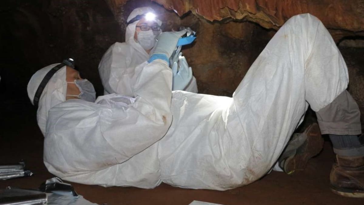 Adn ancestral revela secretos femeninos en las cuevas prehistóricas 1 Adn