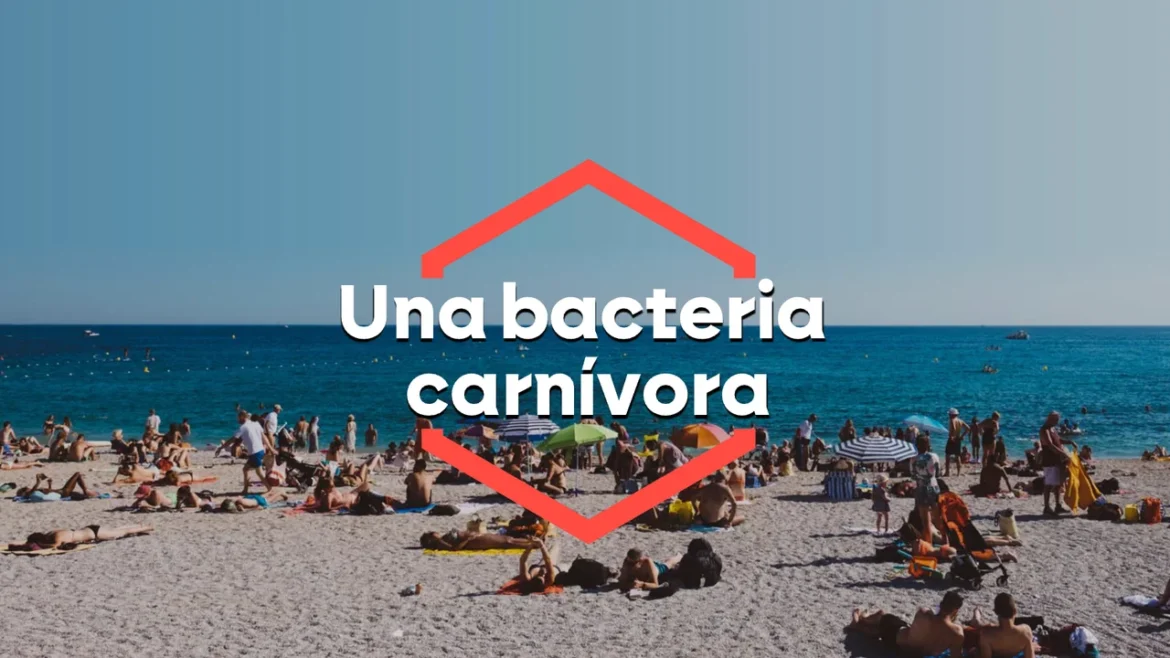 Vibrio vulnificus