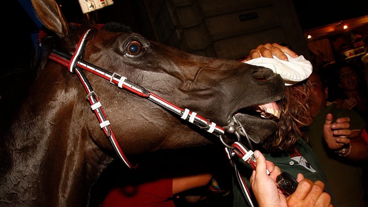 Palio