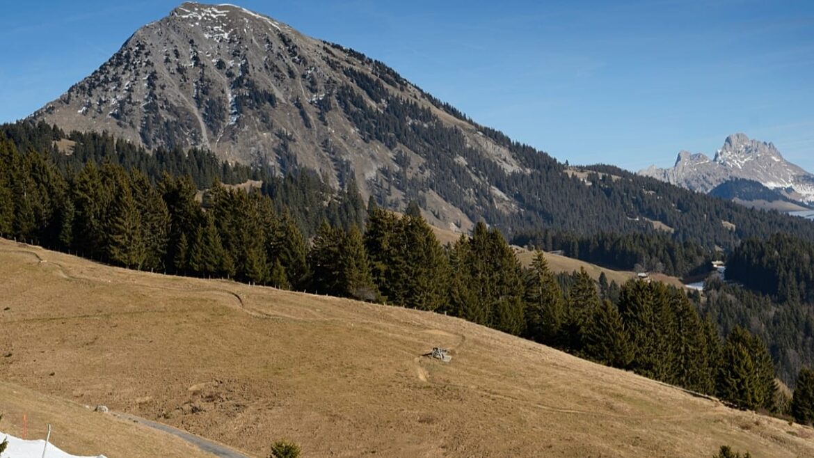 Suiza